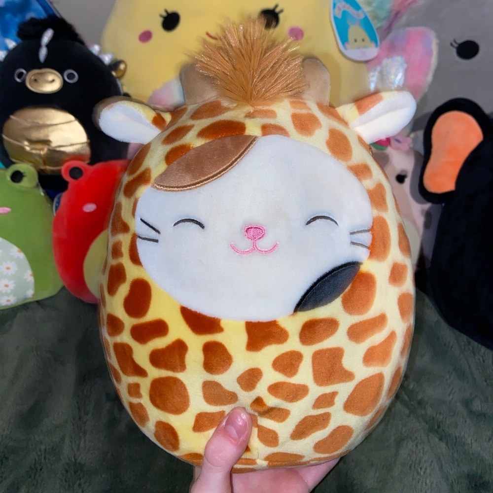 Cam the Cat in a giraffe costume